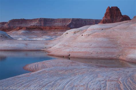 West Canyon | Lake Powell and the Glen Canyon National Recreation Area | Photos by Ron Niebrugge