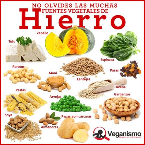 Fuentes de hierro en la dieta vegana y vegetariana – Infografías (con imágenes) | Frutas y ...