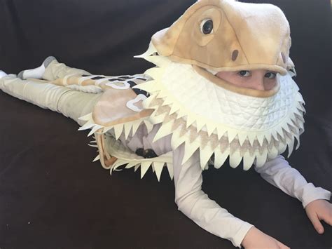 Cute Bearded Dragon Costumes