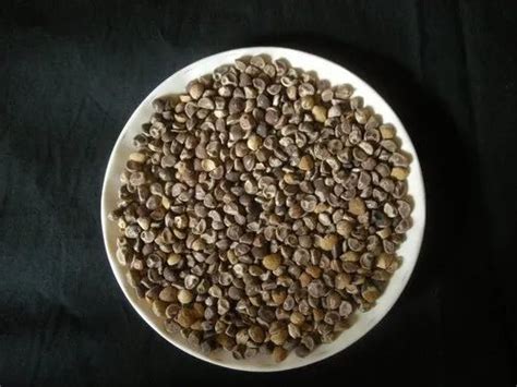 Argyreia Nervosa Seeds, Grade Standard: Medicine Grade, Packaging Type ...