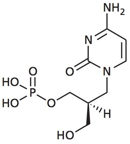 Solved What disadvantage might the following structure have | Chegg.com