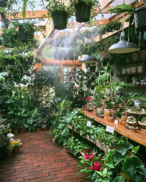 Indoor Plant Nursery Near Me - Plants Gallery