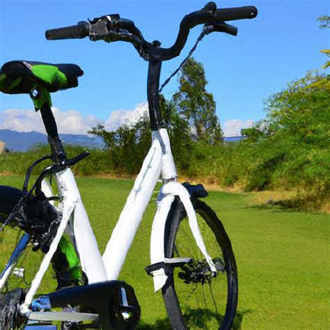 How To Maximize The Battery Life Of Your Electric Bike? - ReviewVolt