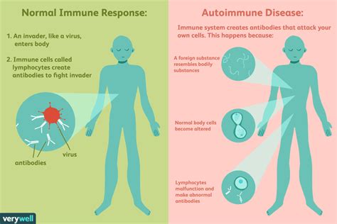 Autoimmune Diseases: Types, Causes, Diagnosis, & Treatment