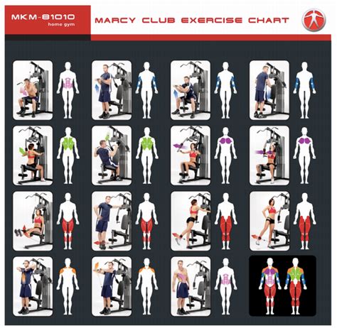 Buy Marcy Club Home Gym MKM-81010 Online | World Fitness Australia