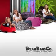 Why Purchase Bean Bag Chairs