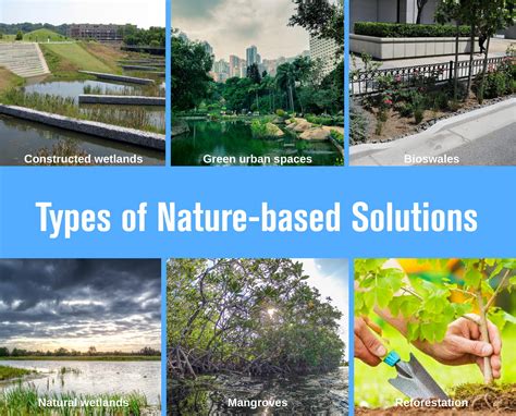 Nature based solutions examples