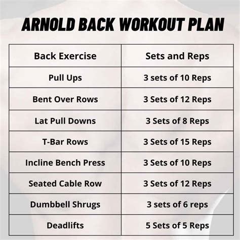 Arnold Schwarzenegger Workout Routine For Beginners Steep Discounts ...