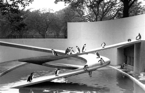 London Zoo’s modernist ‘penguin utopia’ is beyond repair says Lubetkin’s daughter - The Spaces