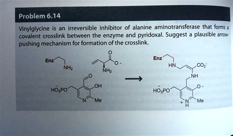 SOLVED: Problem 6.14: Vinylglycine is an irreversible inhibitor of alanine aminotransferase that ...