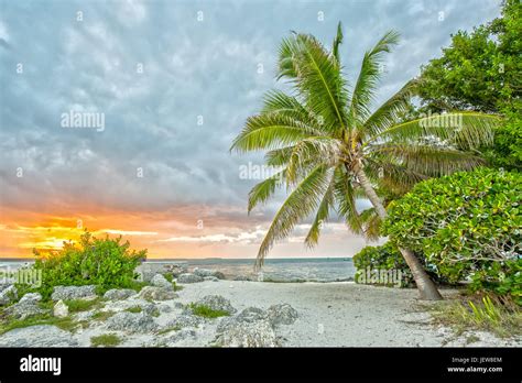 Sunset under Palms at Fort Zachary Taylor Historic State Park in Florida Stock Photo - Alamy