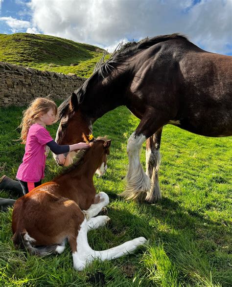 The 'Our Yorkshire Farm' Children Are Smitten With The New Addition To The Family - The Yorkshireman