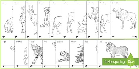 Wilde Diere van Suid-Afrika Inkleurbladsye - Twinkl