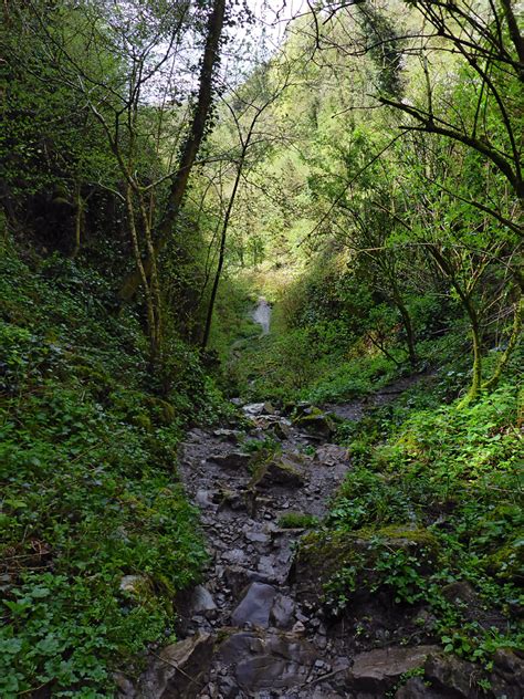 Photographs of Ebbor Gorge, Somerset, England: Upper end of the gorge