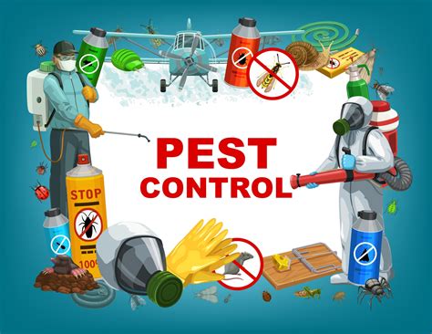 Best Pest Control Services in Hyderabad | Termite, Bed bugs, Cockroach