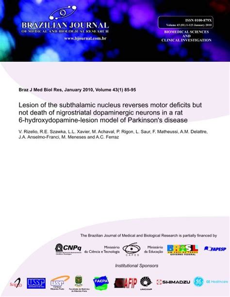 Lesion of the subthalamic nucleus reverses motor deficits but not ...