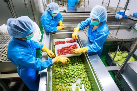 Premium Photo | Industrial workers in a food processing plant sorting ...