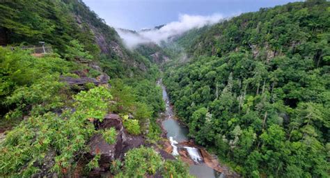 Incredible Natural Wonder in Georgia: Tallulah Gorge State Park