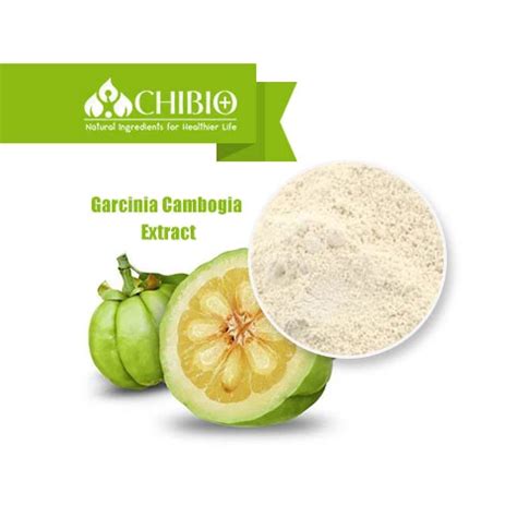 Garcinia Cambogia Extract - Vegetal Chitosan Manufacturer