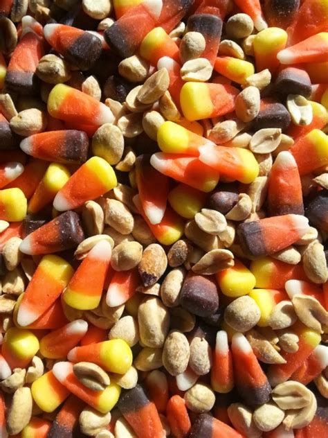 Candy Corn & Peanuts Snack Mix | Intelligent Domestications