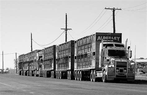 HD wallpaper: gray scale photography of semi-truck on road, road train, transport | Wallpaper Flare