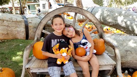 Irvine Park Railroad Pumpkin Patch Opens September 15th - Balancing The Chaos