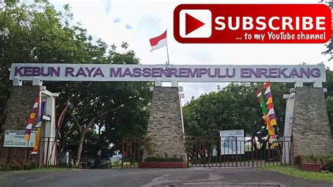 Begini Kondisi Kebun Raya Massenrenpulu Kab. Enrekang | Broadway shows, The creator, Youtube