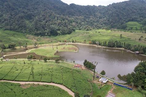 Telaga Saat Puncak: Harga Tiket, Biaya Camping, Ulasan, hingga Rute Lokasi