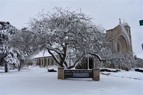 Our Lady of The Wayside Parish | 434 W Park St, Arlington Heights, IL 60005 | Catholic Church ...