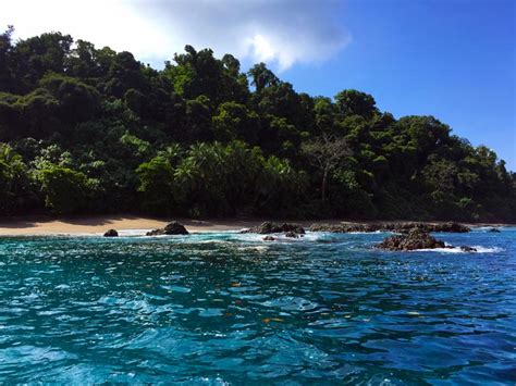 Snorkeling at Cano Island: The 2nd Best Place in Costa Rica