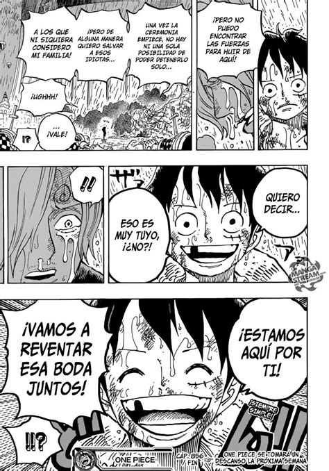 Siguiente página | One piece comic, Manga anime one piece, One piece manga