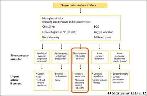 Acute heart failure (AHF)-What do the new guidelines say? The ...