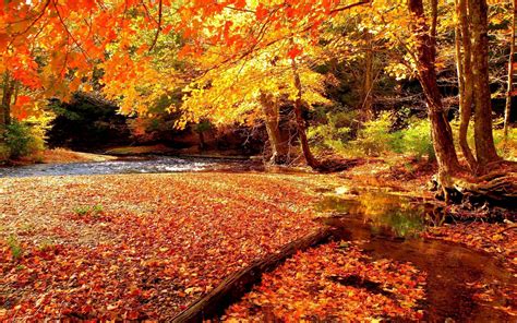 Autumn Free Wallpapers - Wallpaper Cave