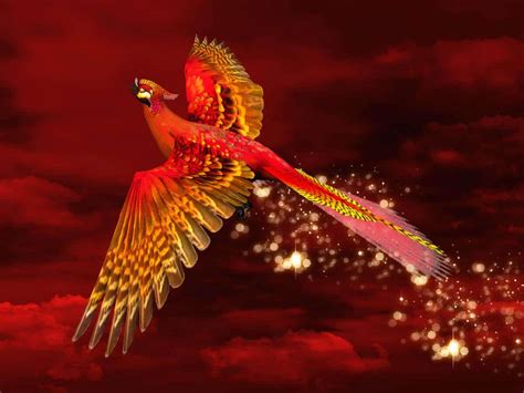 Feng Shui Red Phoenix: Guardian of the South - askAstrology Blog