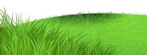 Park clipart background, Park background Transparent FREE for download ...