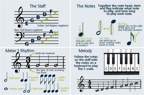 How to Read Music Notes - Janelle-has-Mckinney