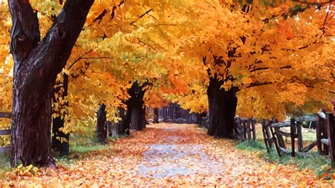 Hình nền thu đẹp mắt 4k fall desktop backgrounds với độ phân giải cao nhất