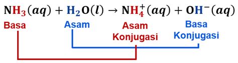 Contoh Teori Asam Basa Bronsted Lowry Berbagai Contoh - Riset