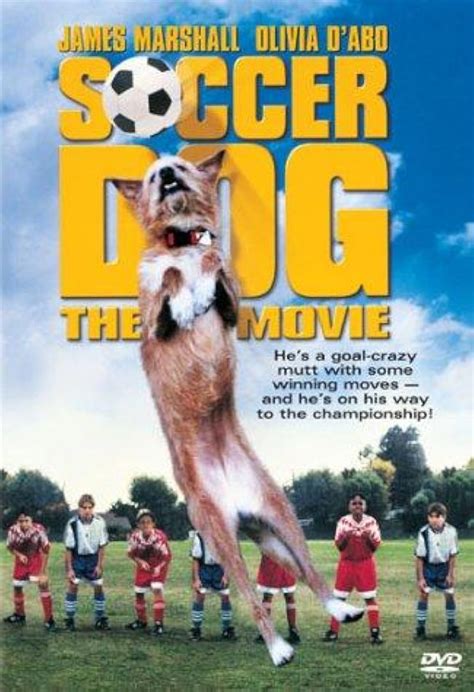 Soccer Dog: The Movie (1999) - IMDb