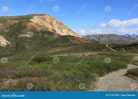 Hiking Trails in Denali National Park Stock Photo - Image of traveling ...