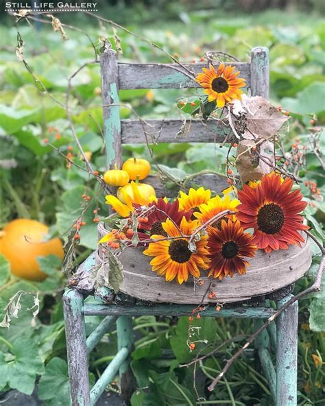 Photo b | Sunflower garden, Pumpkin art, Simple flowers