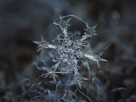 Stunning Macro Details of Uniquely Beautiful Snowflakes With An Inexpensive DIY Camera - Snow ...