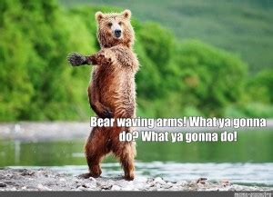 Create meme "bear wild, dancing bears, dancing bear " - Pictures - Meme-arsenal.com