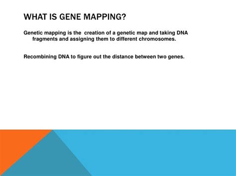 Gene mapping