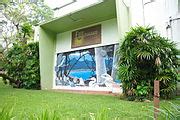 Category:Fiji Museum - Wikimedia Commons