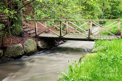 Foot bridge over creek Photograph by Sophie McAulay - Fine Art America