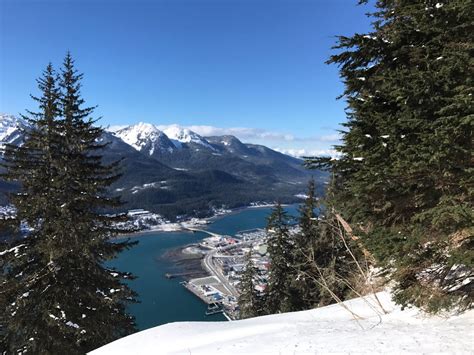 Mount Roberts Trail, Juneau: See 385 reviews, articles, and 223 photos ...