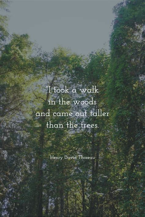 "I took a walk in the woods and came out taller than the trees." — Henry David Thoreau #We ...