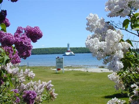 Mackinac Island Lilac Festival – June 7 – 16, 2024 - News Up North ...