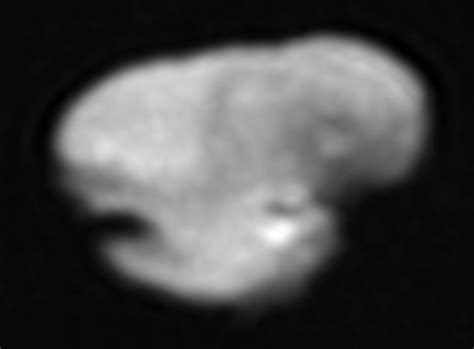 New Horizons Beams Back Compositional Data about Pluto’s Small Moon ...